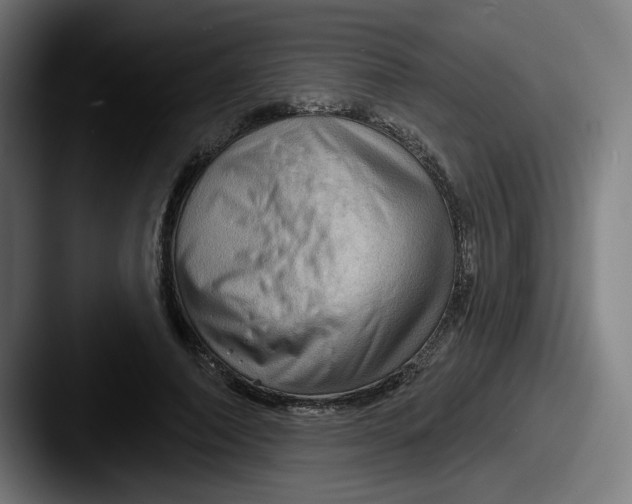 X0000087590690200705181219