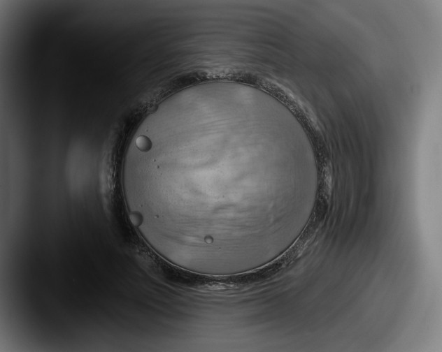 X0000087590691200705181219