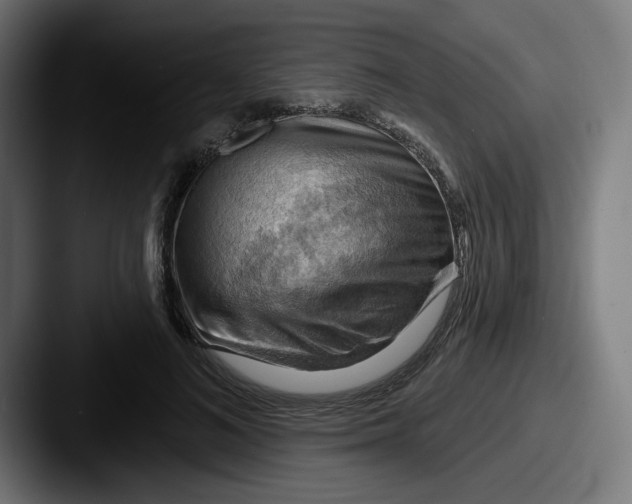 X0000087590692200705181219