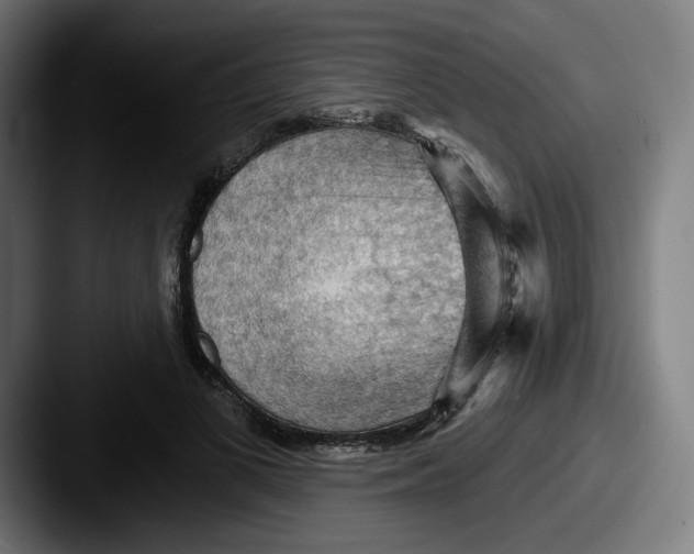 X0000087590693200705181219