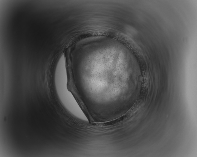 X0000087590695200705181219