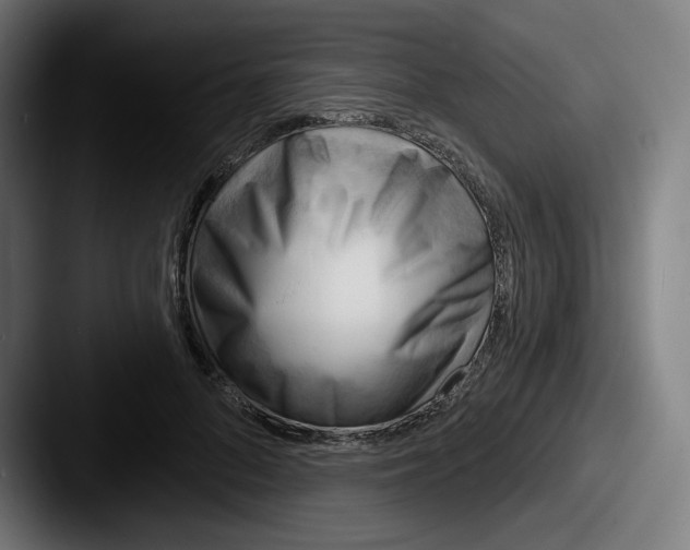 X0000087590696200705181219