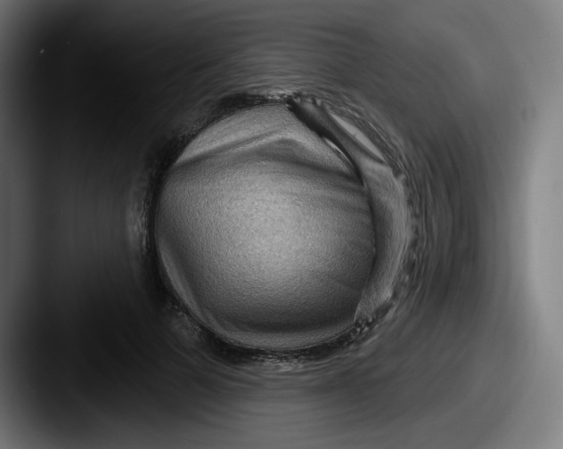 X0000087590697200705181219