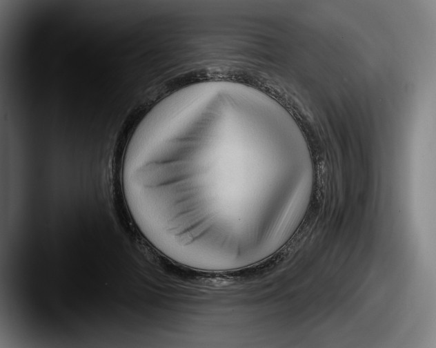 X0000087590698200705181219