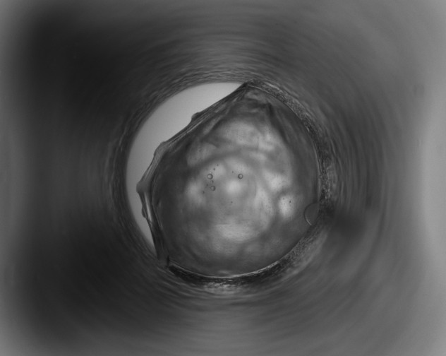 X0000087590699200705181219