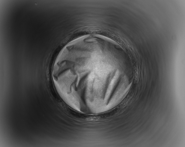 X0000087590700200705181219