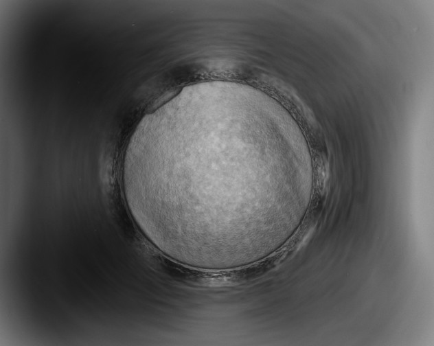 X0000087590701200705181219