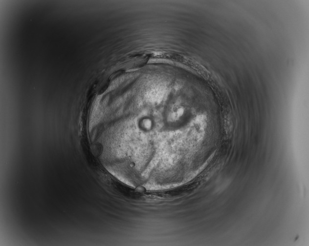 X0000087590703200705181219