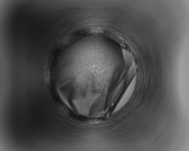 X0000087590704200705181219