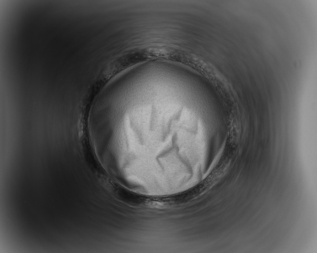 X0000087590706200705181219