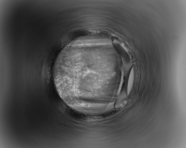 X0000087590707200705181219