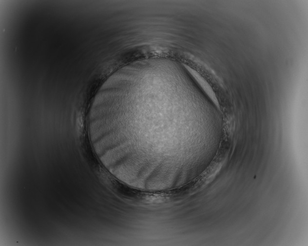 X0000087590709200705181219