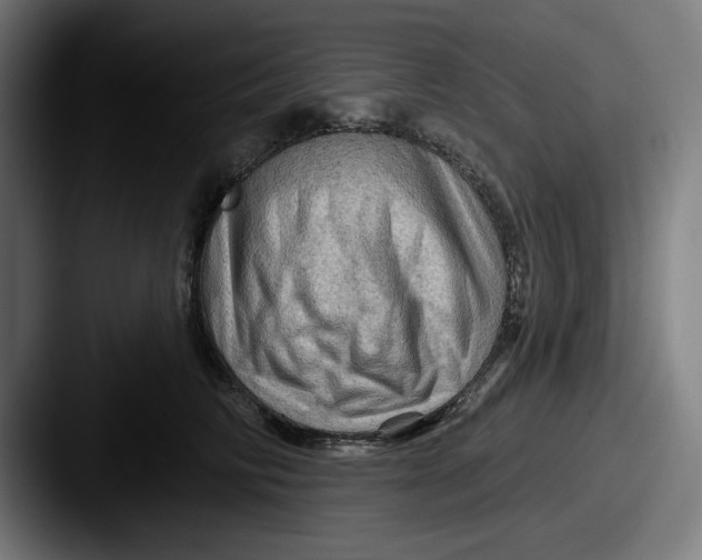 X0000087590710200705181219