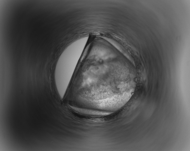 X0000087590711200705181219