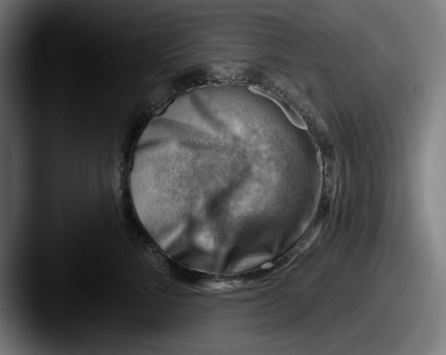 X0000087590712200705181219