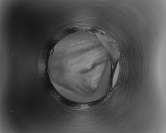 X0000087590715200705181219