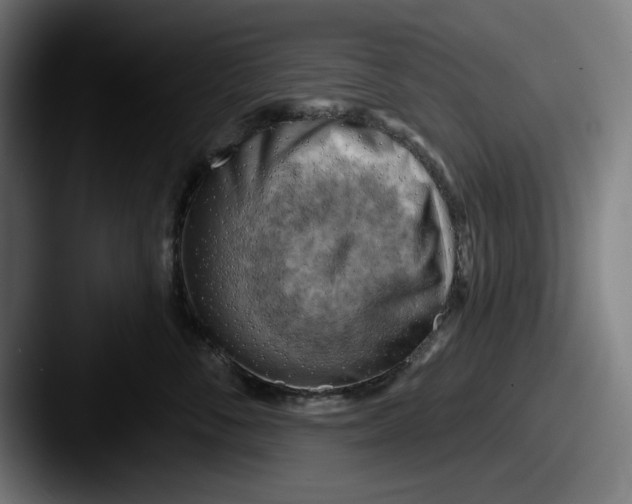 X0000087590716200705181219