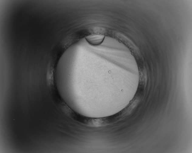 X0000087590717200705181219