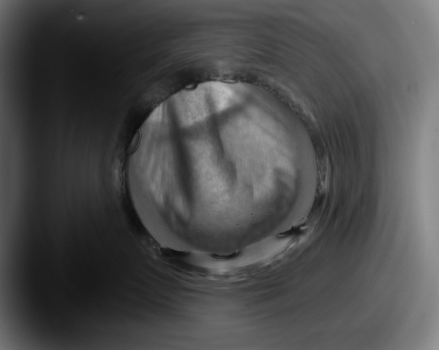 X0000087590719200705181219