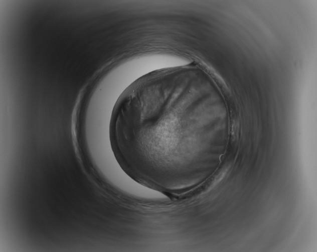 X0000087590722200705181218