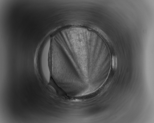 X0000087590723200705181218