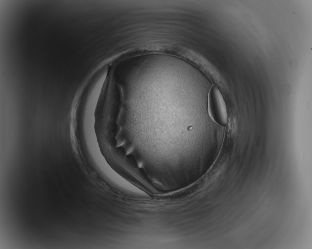 X0000087590724200705181218