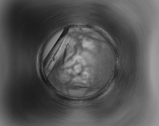 X0000087590725200705181218