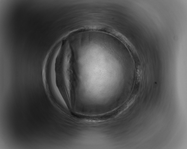 X0000087590726200705181218