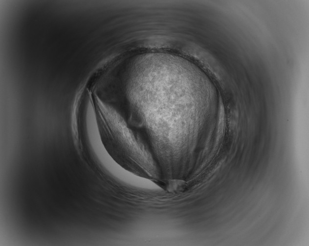 X0000087590727200705181218