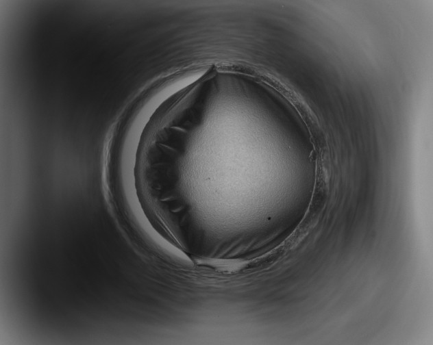 X0000087590728200705181218