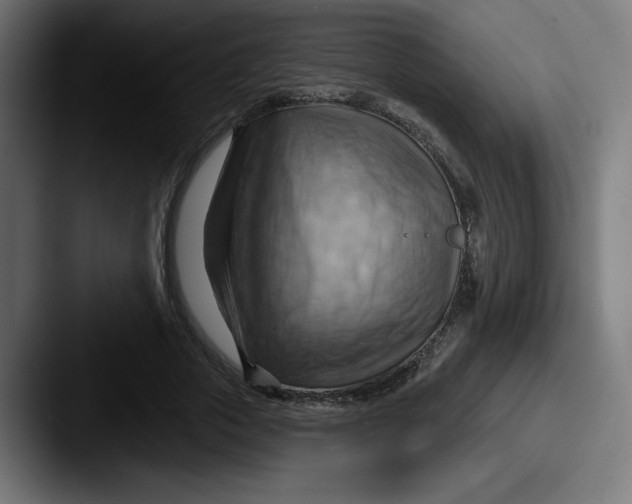 X0000087590729200705181218