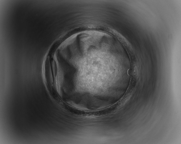 X0000087590730200705181218