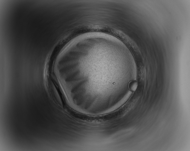 X0000087590731200705181218