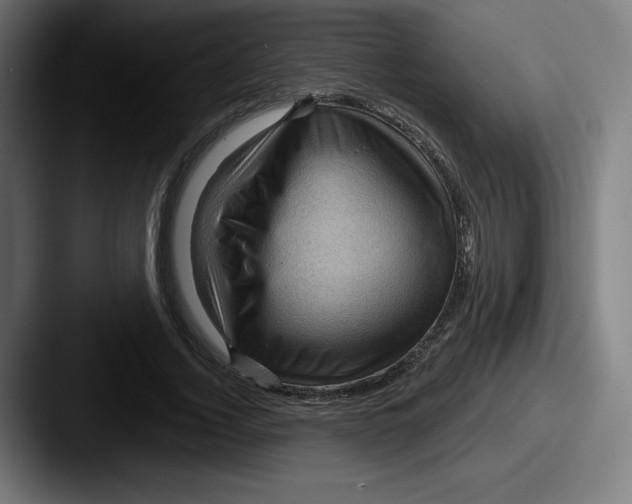 X0000087590732200705181218