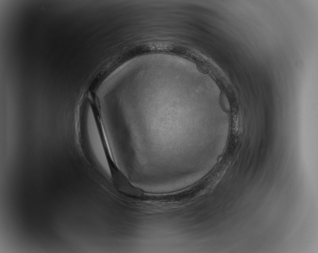 X0000087590733200705181218