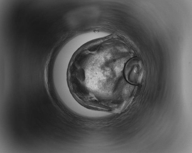 X0000087590734200705181218