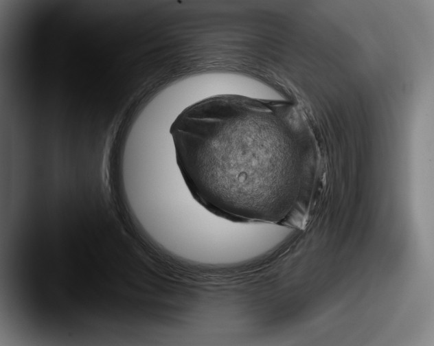 X0000087590735200705181218