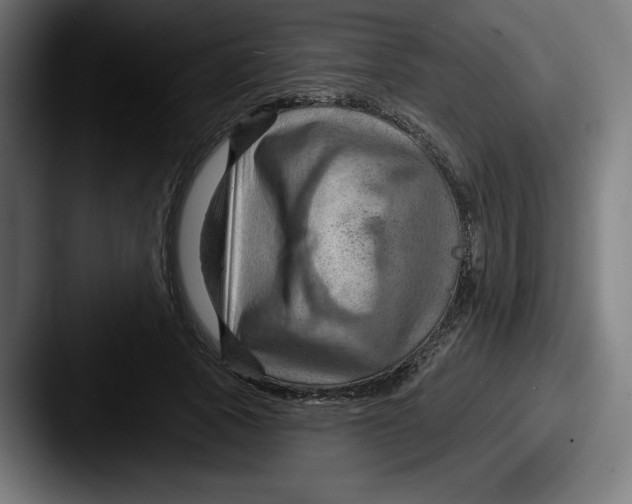 X0000087590737200705181218