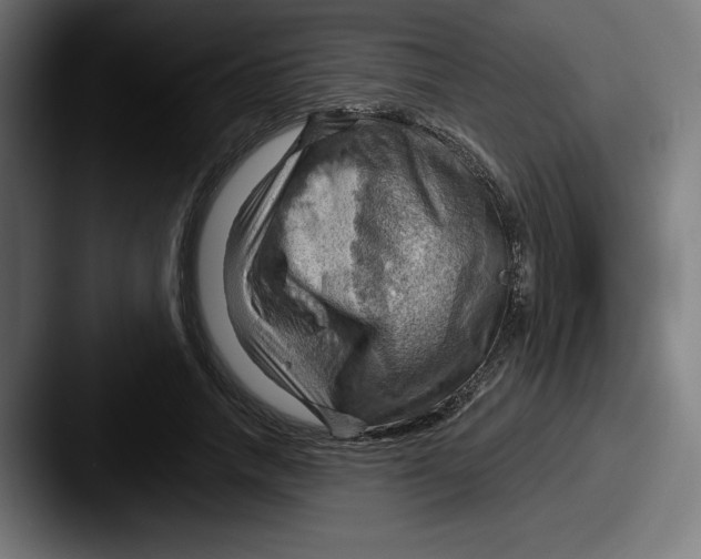 X0000087590738200705181218