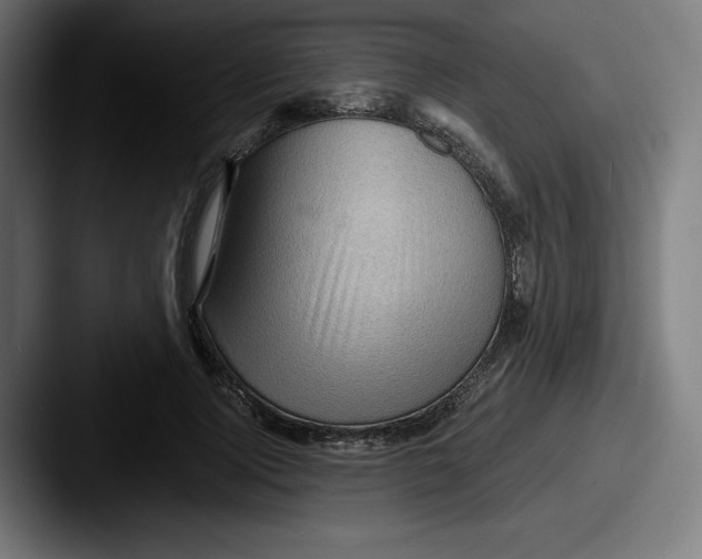 X0000087590740200705181219