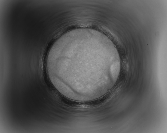 X0000087590741200705181219