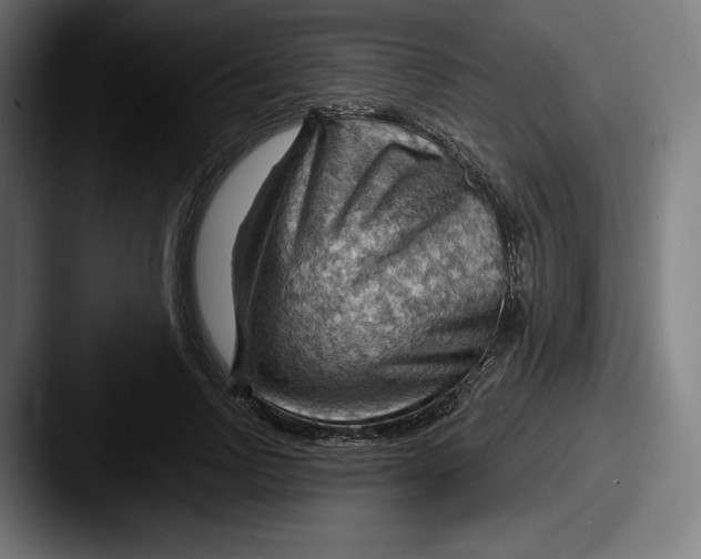 X0000087590742200705181219