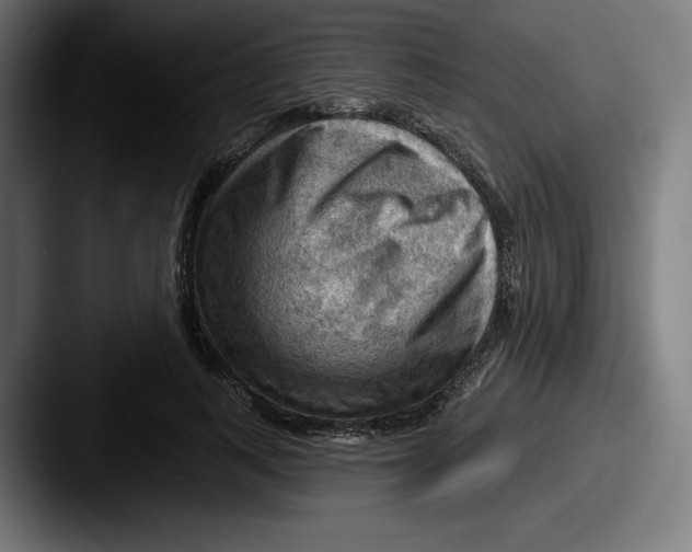 X0000087590743200705181219