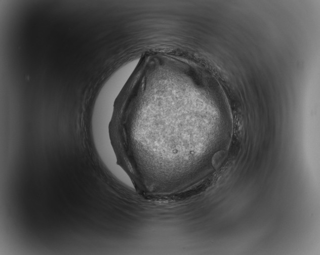 X0000087590745200705181219