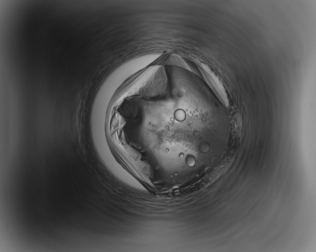 X0000087590746200705181219