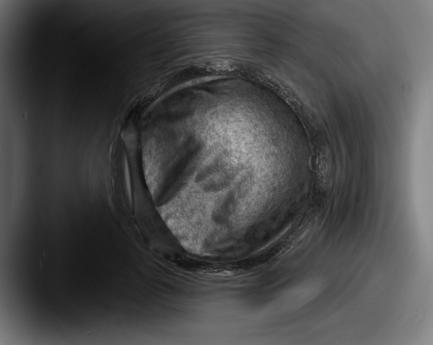 X0000087590747200705181219