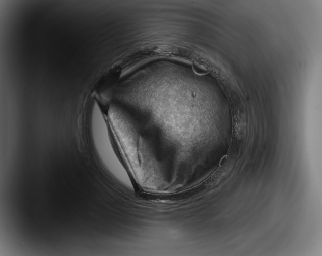 X0000087590748200705181219