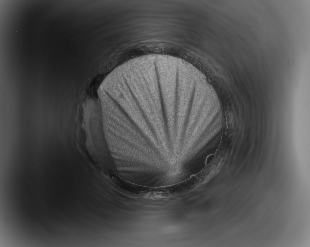 X0000087590751200705181219