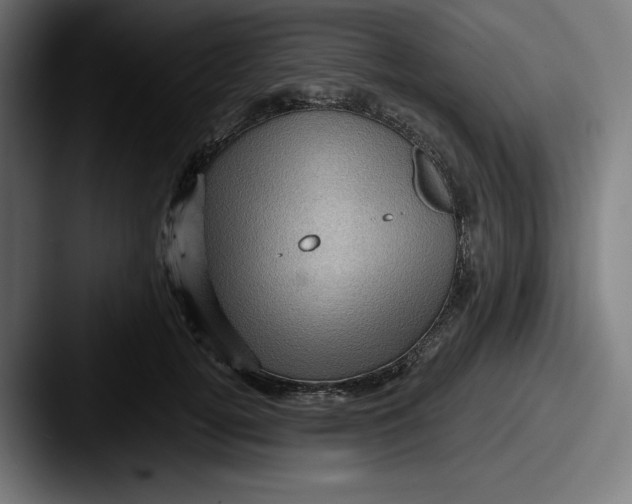 X0000087590752200705181219