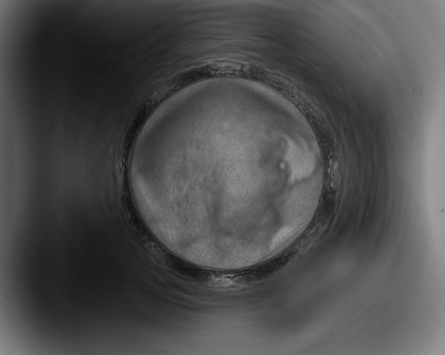 X0000087590753200705181219